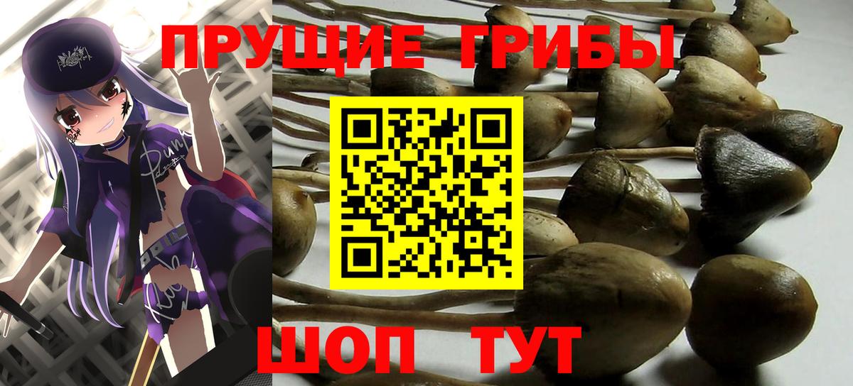 Галлюциногенные грибы Cubensis  Вход с VPN  Псилоцибиновые грибы мухоморы  Калач-на-Дону 